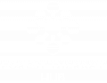Forest Therapy Hub